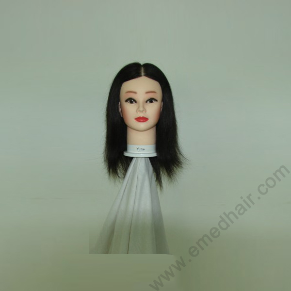 human hair training head